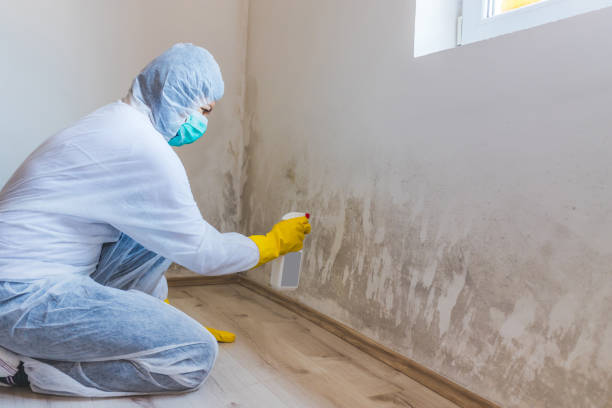 Licensed Bathroom Mold Removal service in Kulpmont, PA - WQB Mold Removal